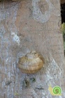 DSC 1285